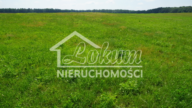 Działka rolna 1,00&nbsp;ha, Bobolice - zdjęcie 4