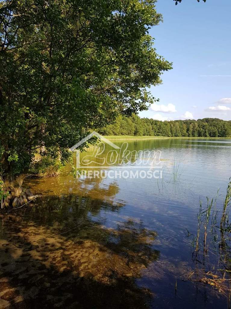 Działka rolna 3500 m², Komorze - zdjęcie 1