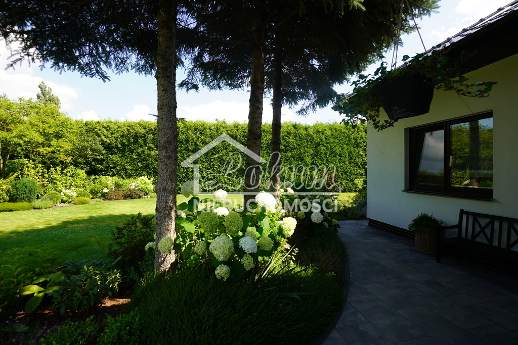 Dom 230,27&nbsp;m², Motaniec - zdjęcie 6