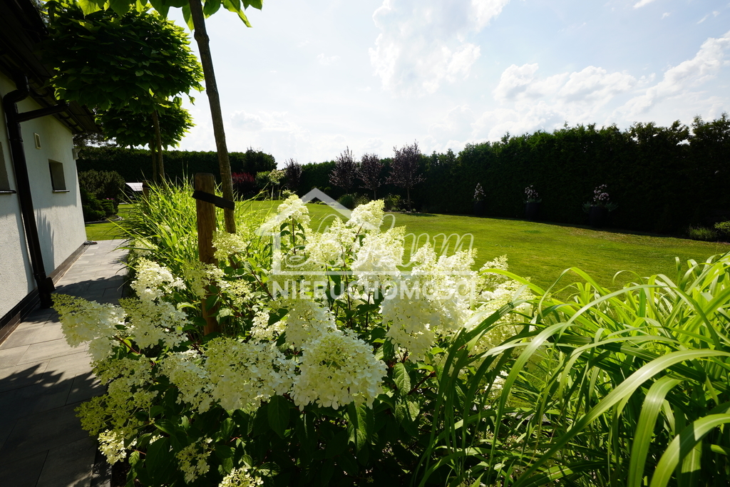 Dom 230,27 m², Motaniec - zdjęcie 5