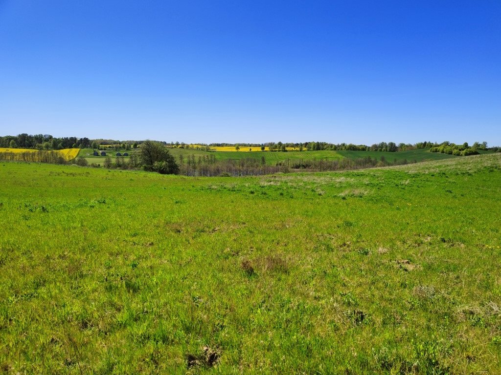 Działka rolna 4878&nbsp;m², Miłki - zdjęcie 11