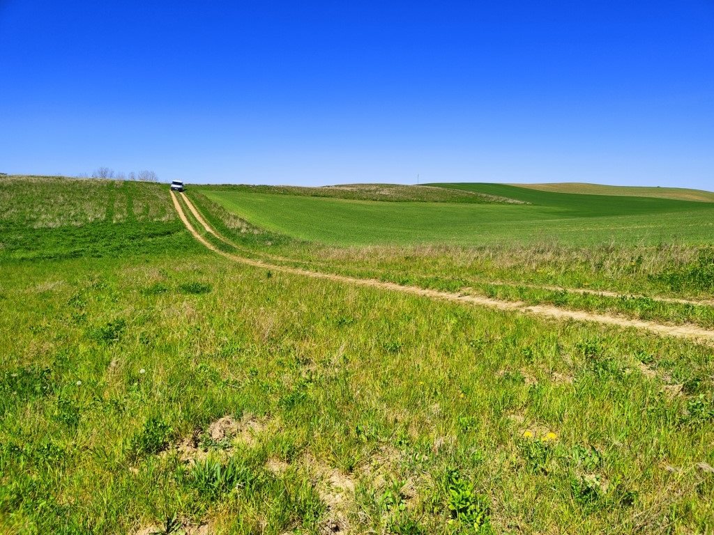 Działka rolna 4878&nbsp;m², Miłki - zdjęcie 10