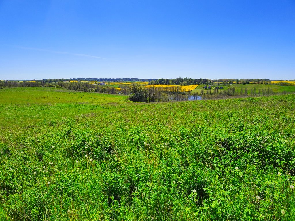 Działka rolna 4878&nbsp;m², Miłki - zdjęcie 8