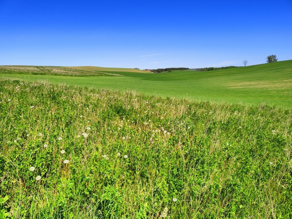 Działka rolna 4878&nbsp;m², Miłki - zdjęcie 9