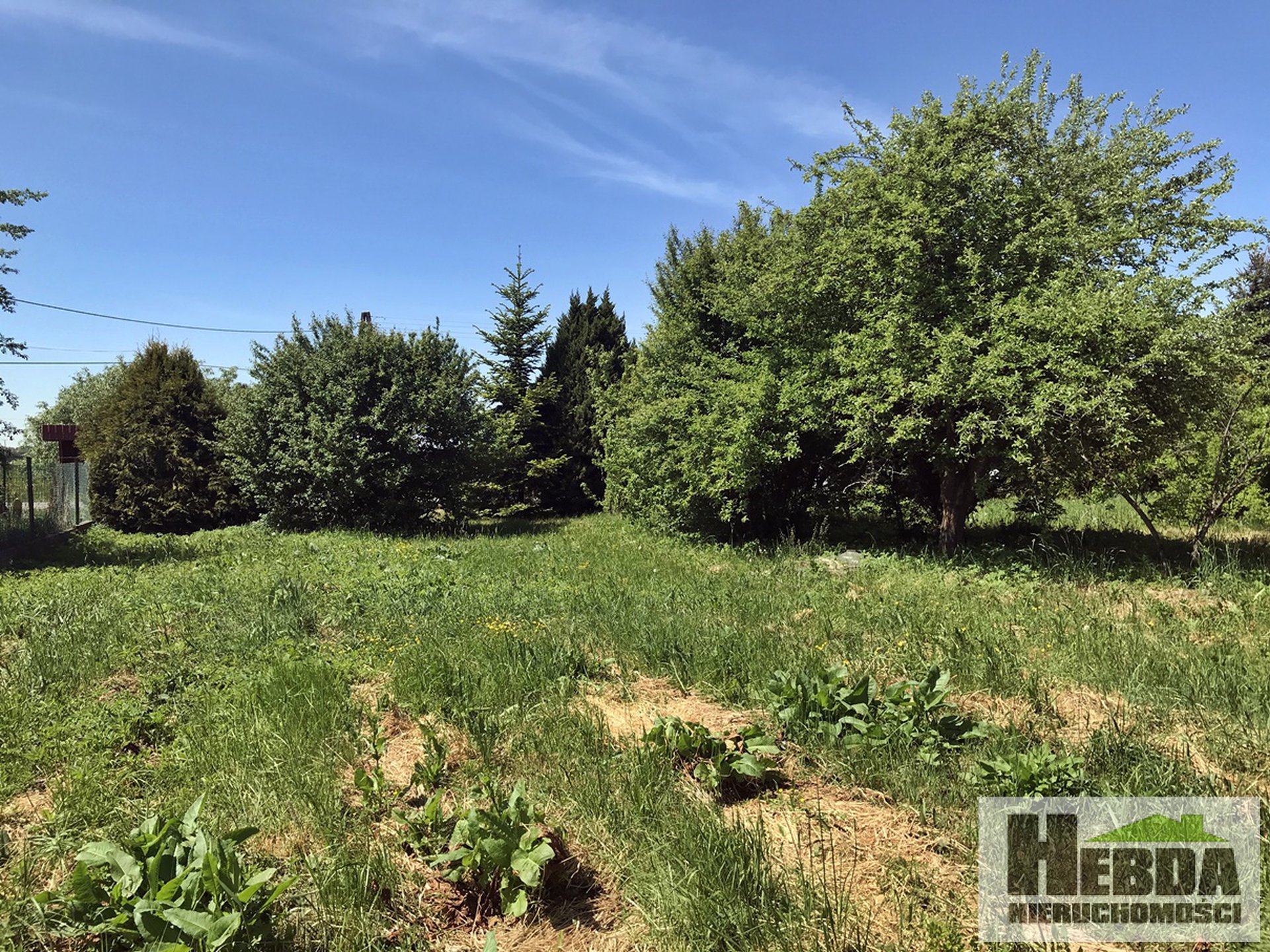 Wola Przemykowska, Na sprzedaż dom wolnostojący, działka około 1ha - zdjęcie 2