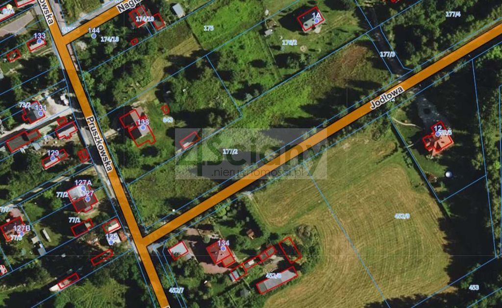 Działka budowlana 5488 m², Strzeniówka - zdjęcie 3