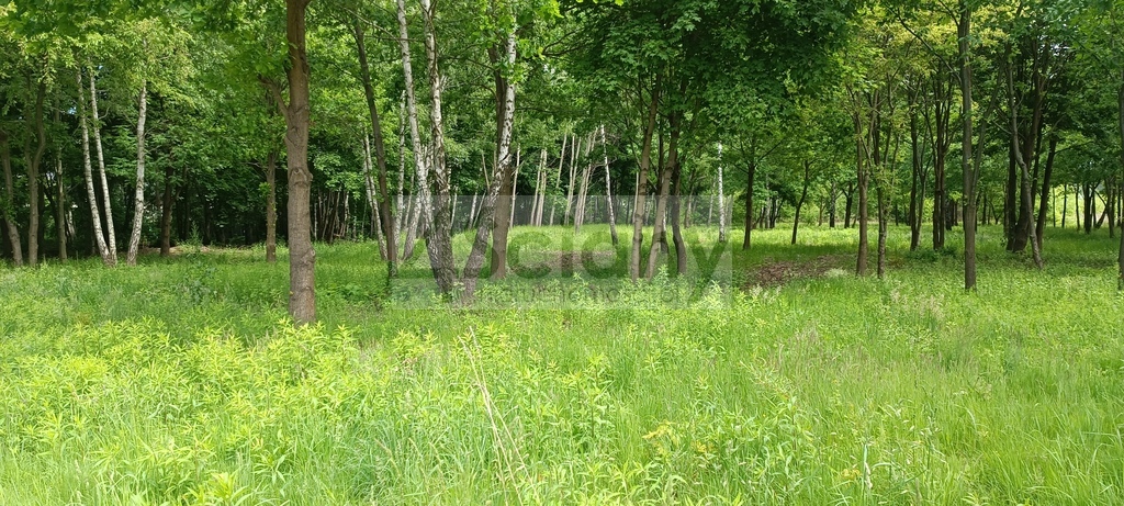 Działka budowlana 1,06&nbsp;ha, Grodzisk Mazowiecki - zdjęcie 2