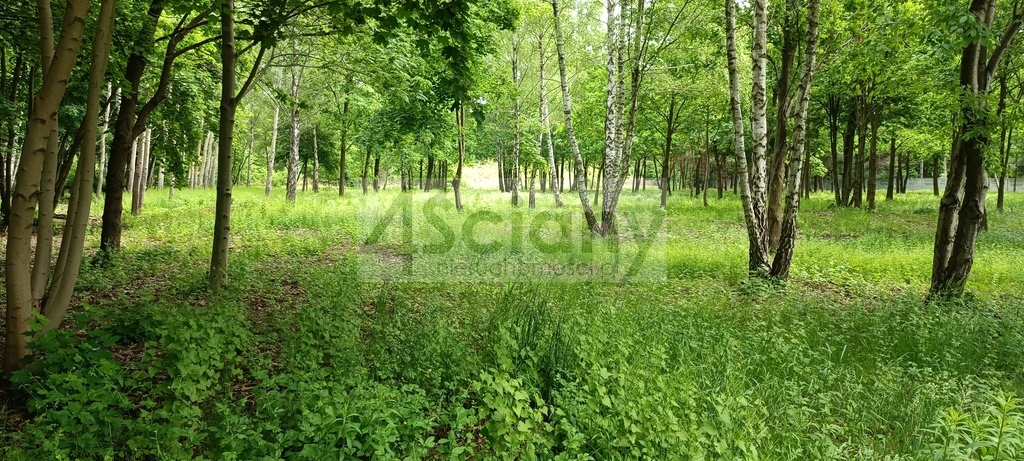 Działka budowlana 1,06&nbsp;ha, Grodzisk Mazowiecki - zdjęcie 1