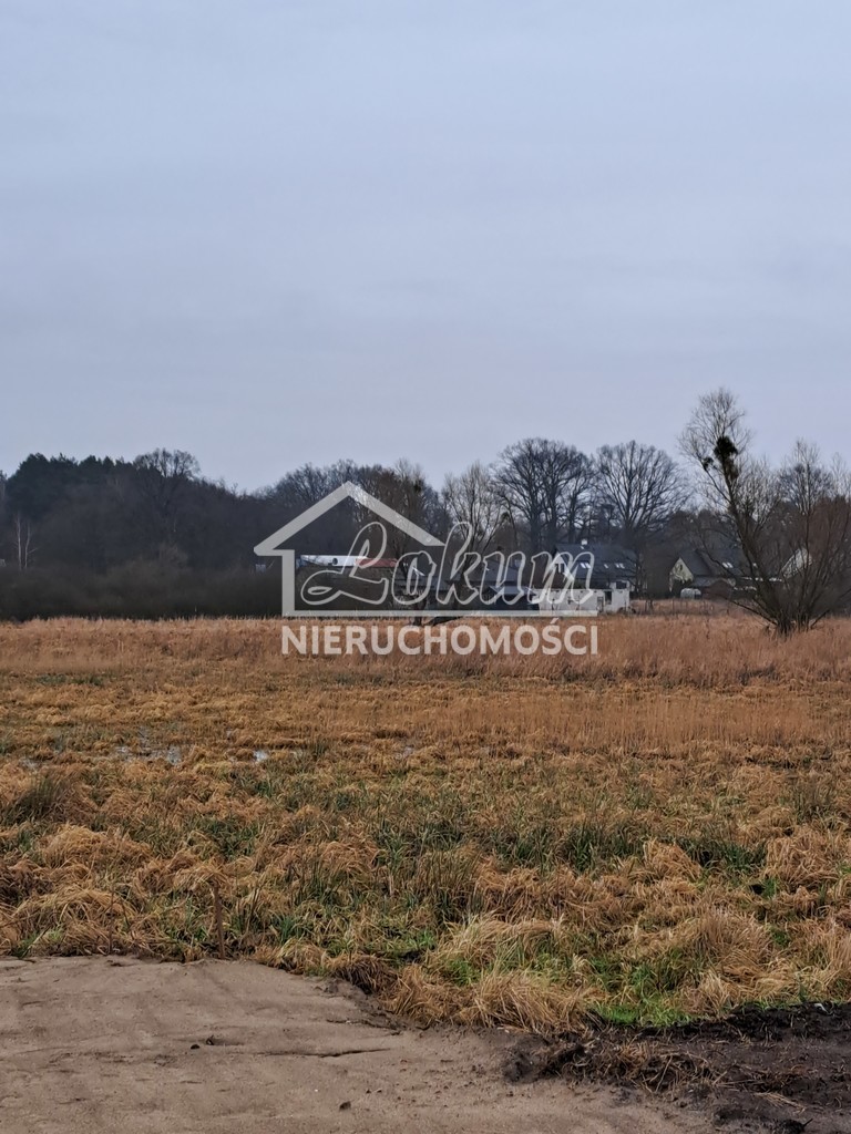 Działka budowlana 2961 m², Dobra, Hebanowa - zdjęcie 6