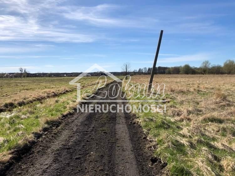 Działka budowlana 2961 m², Dobra, Hebanowa - zdjęcie 17