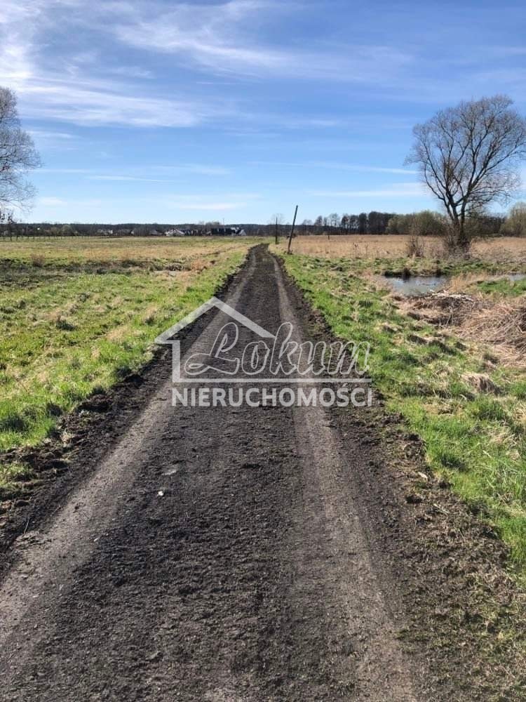 Działka budowlana 2961 m², Dobra, Hebanowa - zdjęcie 19