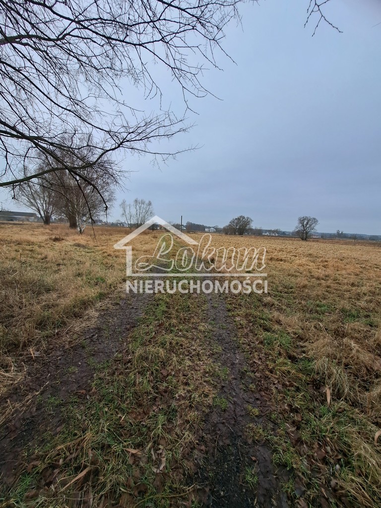 Działka budowlana 2961 m², Dobra, Hebanowa - zdjęcie 15