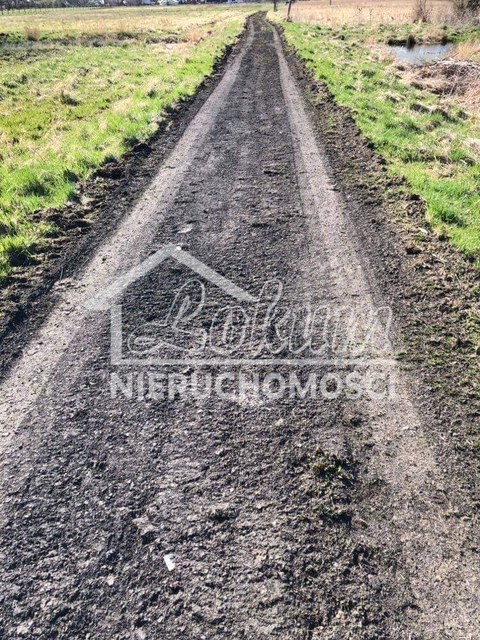 Działka budowlana 2961 m², Dobra, Hebanowa - zdjęcie 7