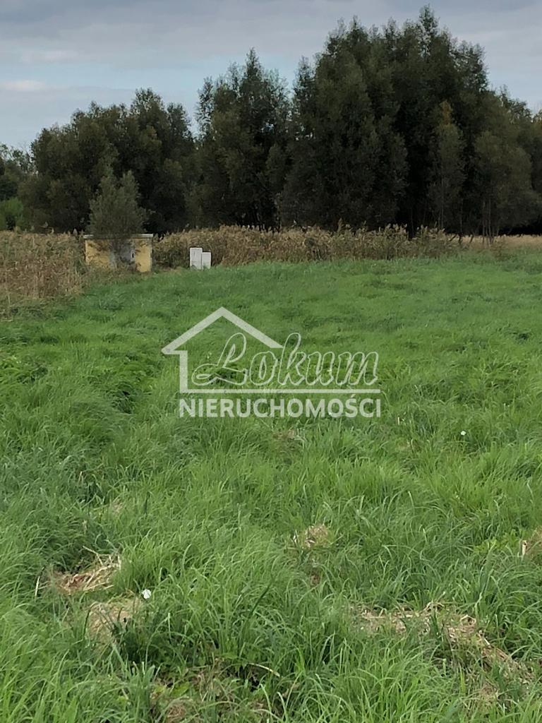 Działka budowlana 2961 m², Dobra, Hebanowa - zdjęcie 16