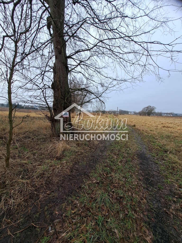 Działka budowlana 2961 m², Dobra, Hebanowa - zdjęcie 14