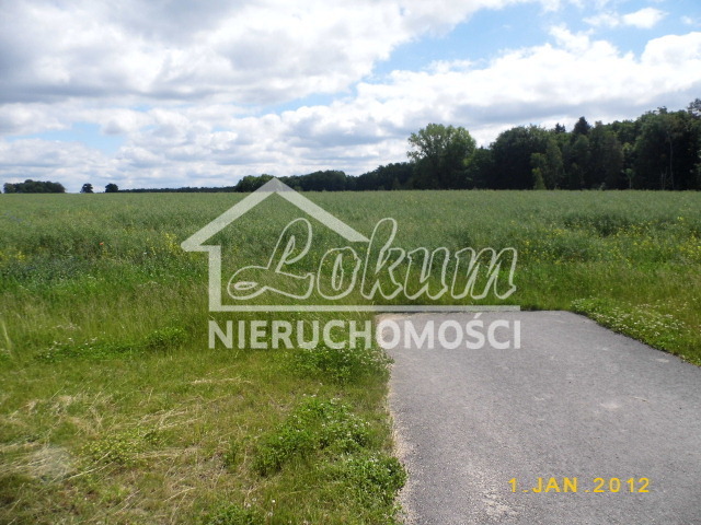 Działka rolna 2,47&nbsp;ha, Olchowo - zdjęcie 4