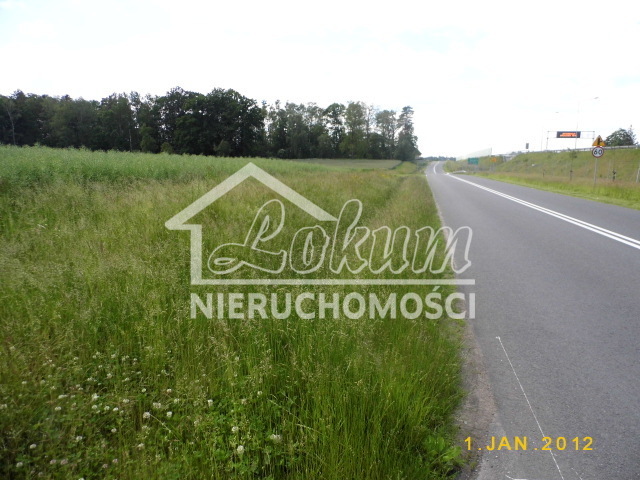 Działka rolna 2,47&nbsp;ha, Olchowo - zdjęcie 2