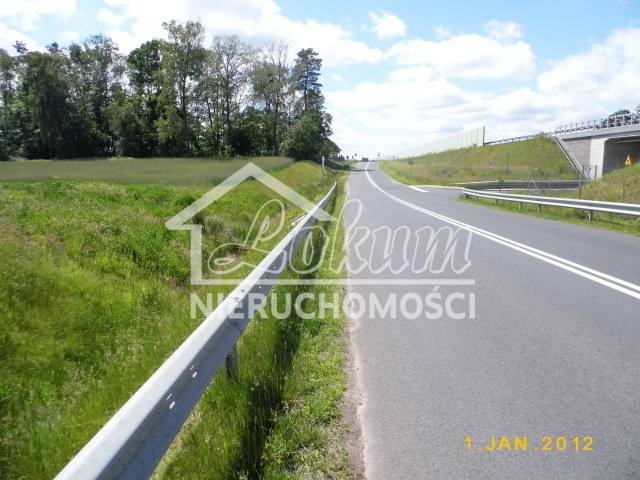 Działka rolna 2,47&nbsp;ha, Olchowo - zdjęcie 5