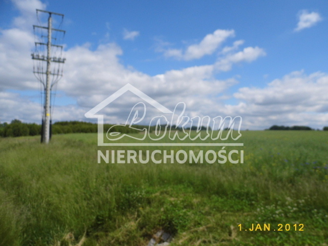 Działka rolna 2,47&nbsp;ha, Olchowo - zdjęcie 6