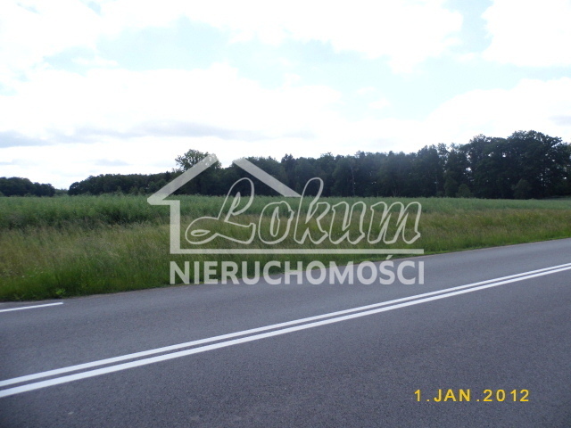 Działka rolna 2,47&nbsp;ha, Olchowo - zdjęcie 3