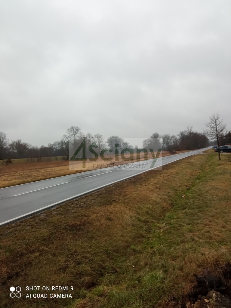 Działka rolna 3000&nbsp;m², Kromnów - zdjęcie 4