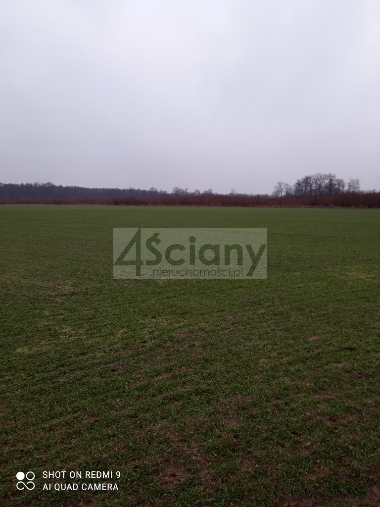 Działka rolna 3000&nbsp;m², Kromnów - zdjęcie 2