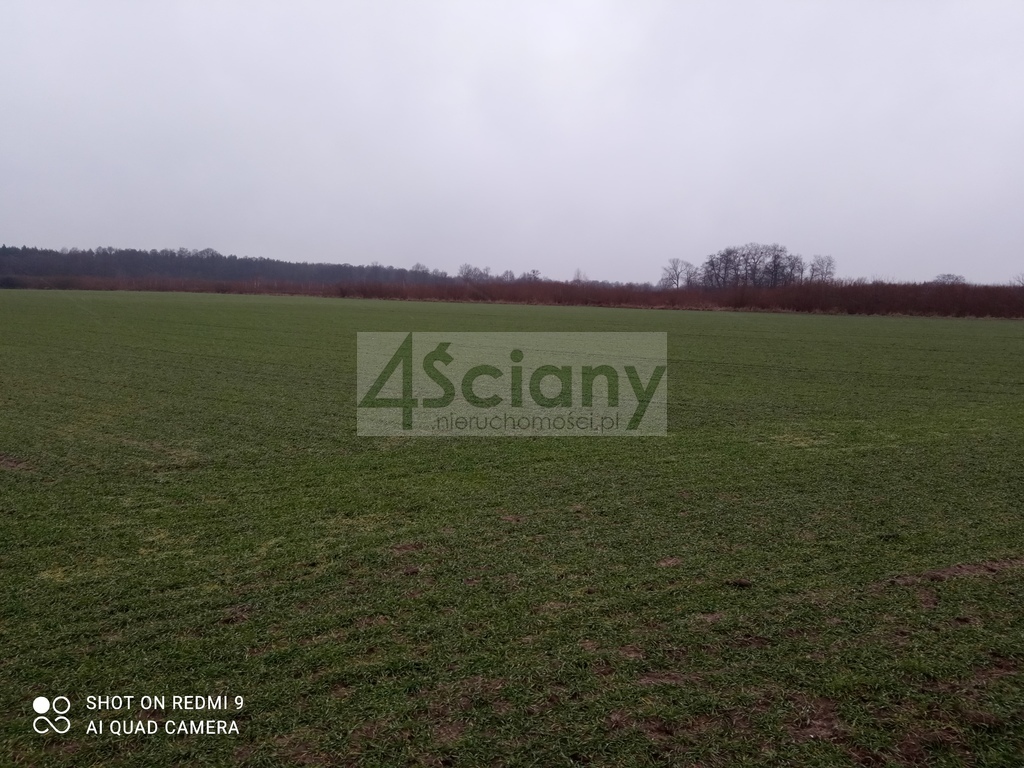 Działka rolna 3000&nbsp;m², Kromnów - zdjęcie 6