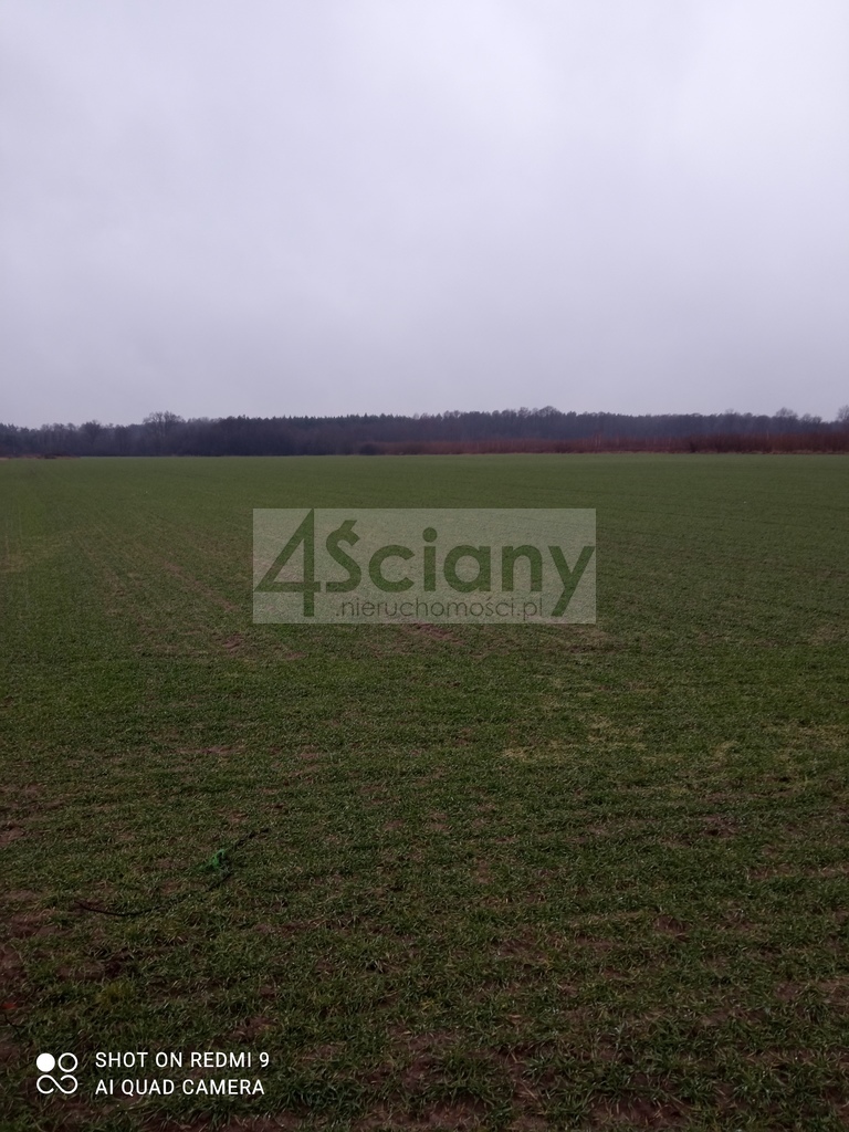 Działka rolna 3000&nbsp;m², Kromnów - zdjęcie 1