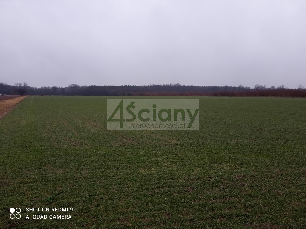 Działka rolna 3000&nbsp;m², Kromnów - zdjęcie 5