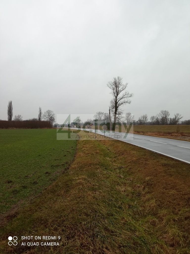Działka rolna 3000&nbsp;m², Kromnów - zdjęcie 3
