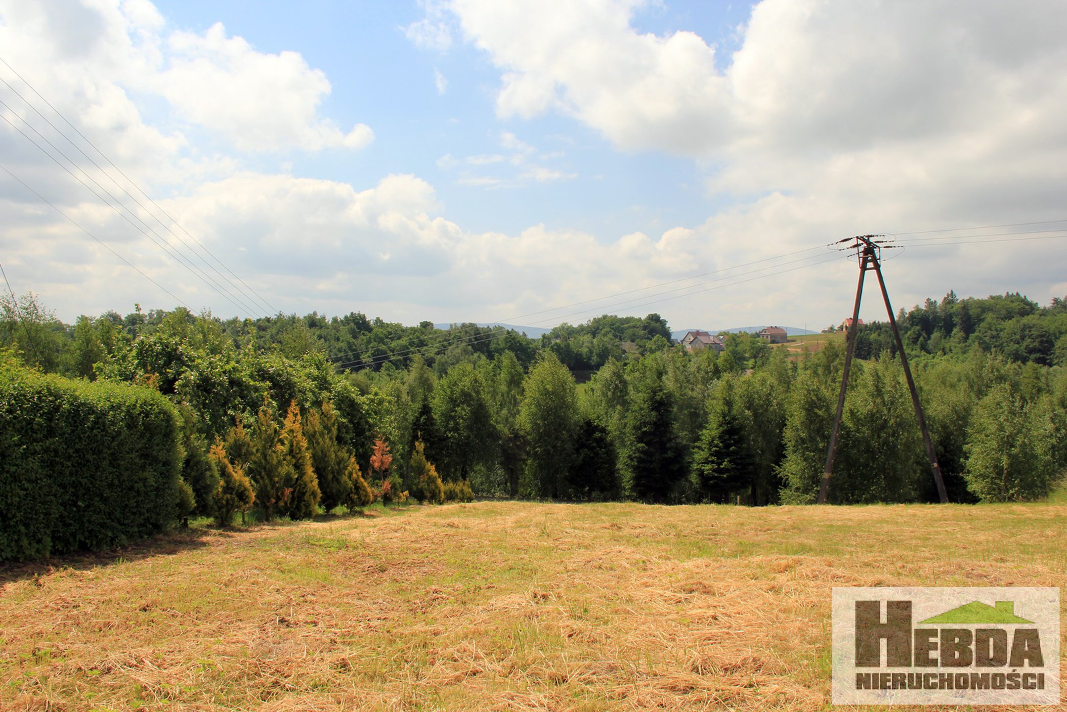 Na sprzedaż działka budowlana, 1,2 ha, Wola Lubecka - zdjęcie 1
