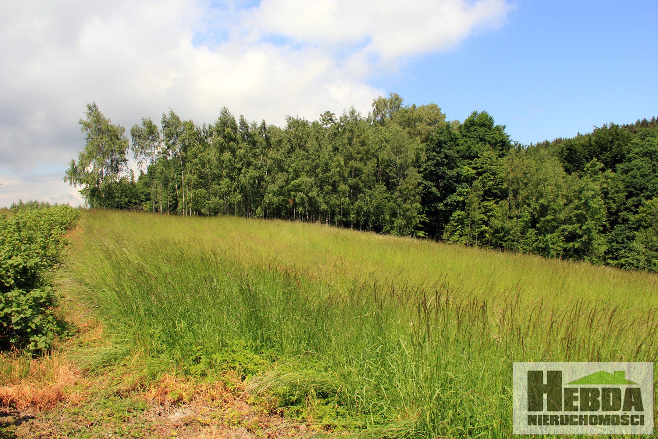 Na sprzedaż działka budowlana, 1,2 ha, Wola Lubecka - zdjęcie 4