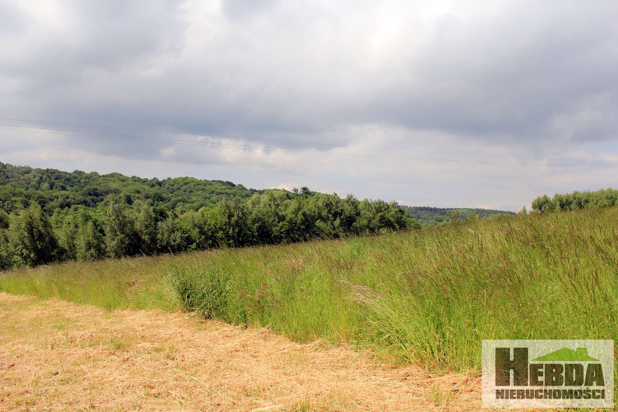 Na sprzedaż działka budowlana, 1,2 ha, Wola Lubecka - zdjęcie 2