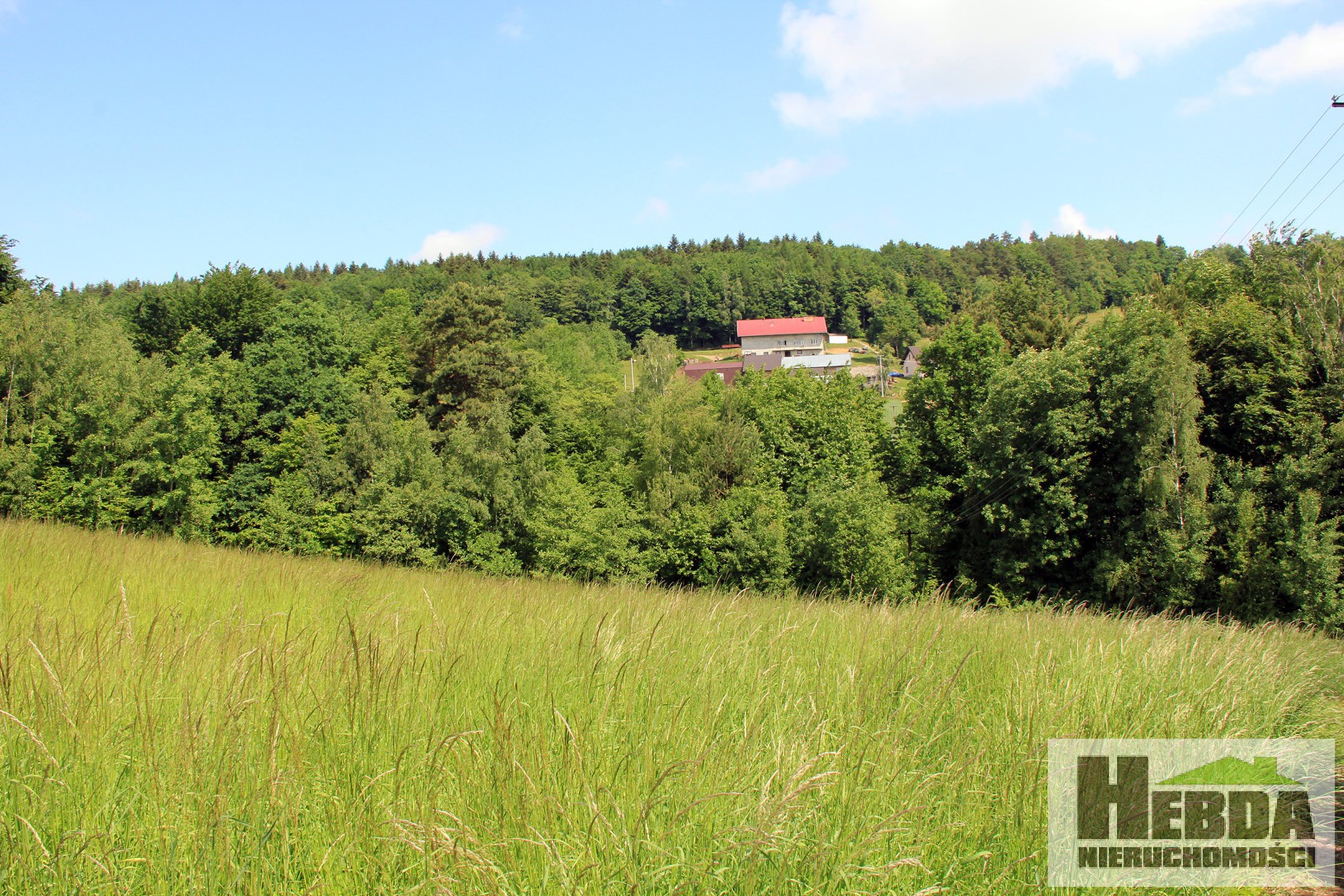 Na sprzedaż działka budowlana, 1,2 ha, Wola Lubecka - zdjęcie 3