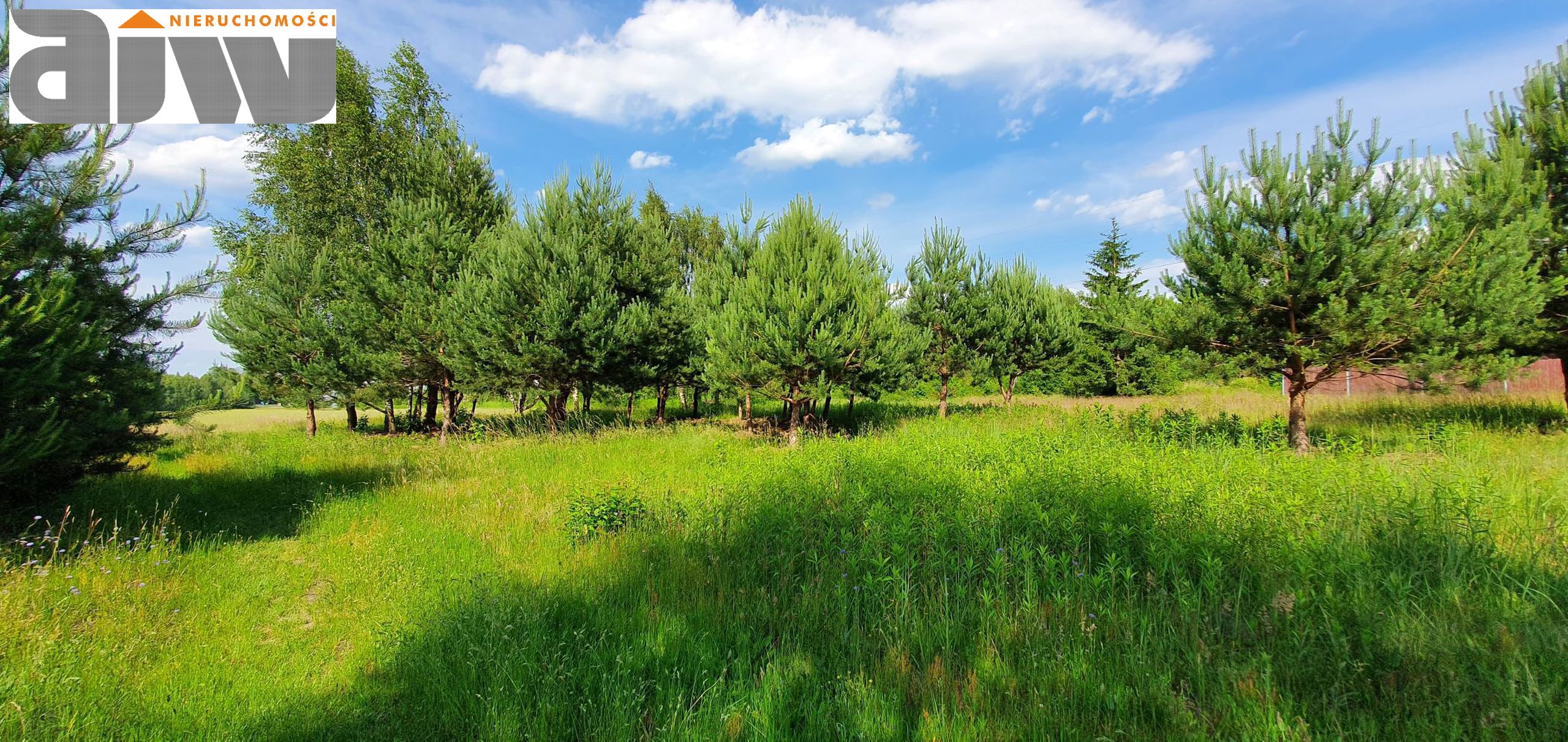 Działka 1600 m2 Wiktorów - zdjęcie 3