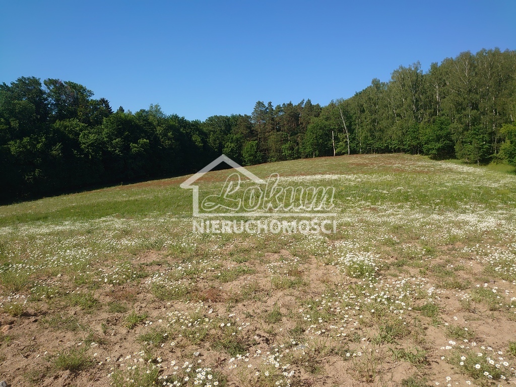 Działka rolna 3,28&nbsp;ha, Recz - zdjęcie 2