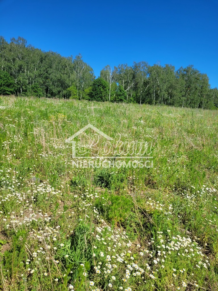 Działka rolna 3,28&nbsp;ha, Recz - zdjęcie 1