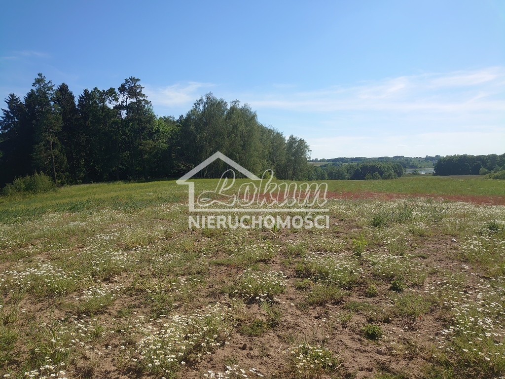 Działka rolna 3,28&nbsp;ha, Recz - zdjęcie 3