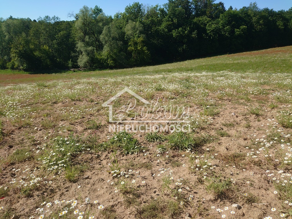 Działka rolna 3,28&nbsp;ha, Recz - zdjęcie 4