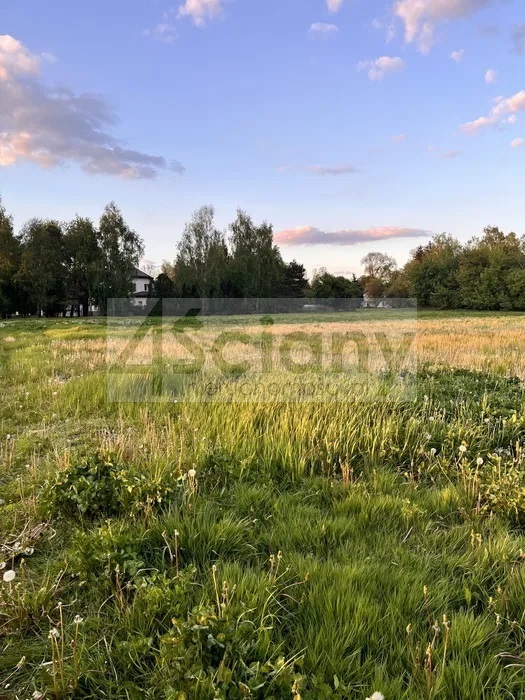 Działka budowlana 2000&nbsp;m², Święcice - zdjęcie 1