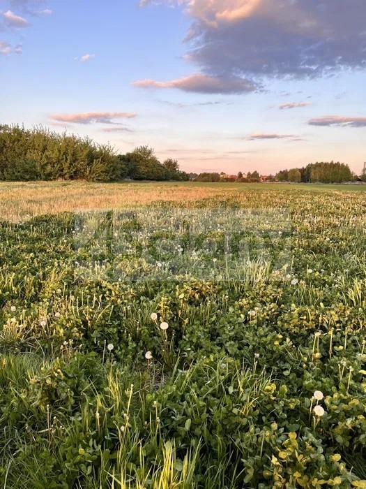 Działka budowlana 2000&nbsp;m², Święcice - zdjęcie 4