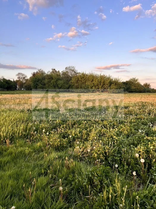 Działka budowlana 2000&nbsp;m², Święcice - zdjęcie 2
