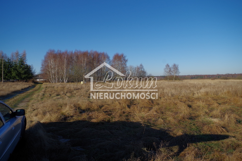 Działka budowlana 1245&nbsp;m², Niedźwiedź - zdjęcie 5