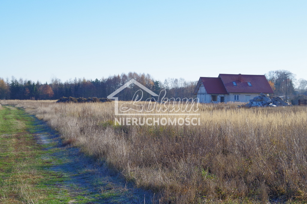 Działka budowlana 1245&nbsp;m², Niedźwiedź - zdjęcie 4