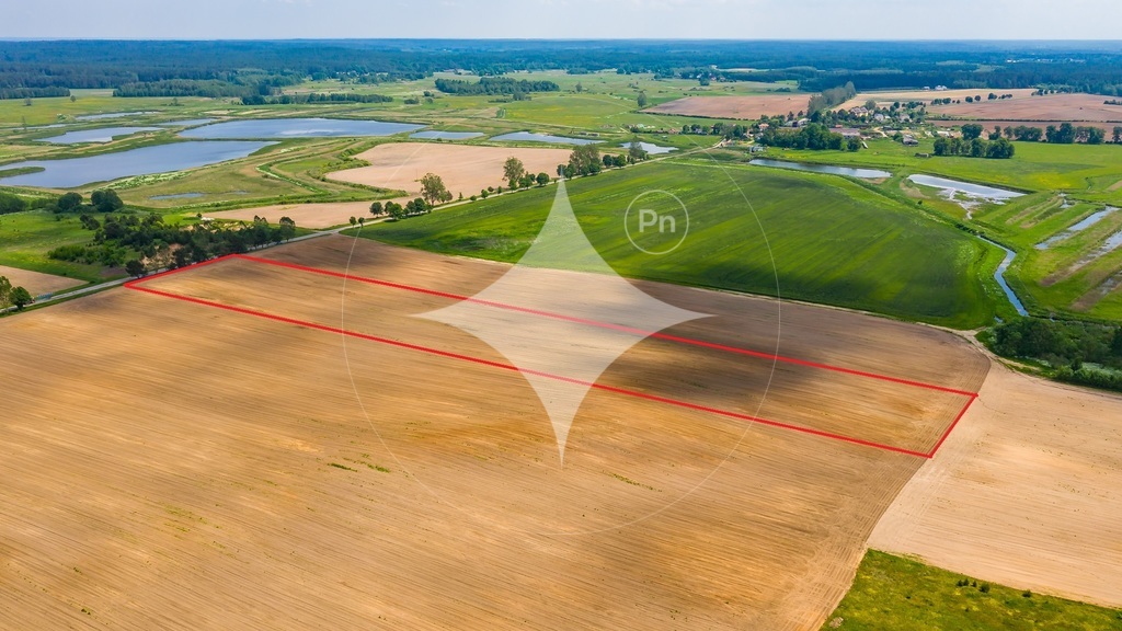 Działka rolna 2,61 ha, Waliły - zdjęcie 1