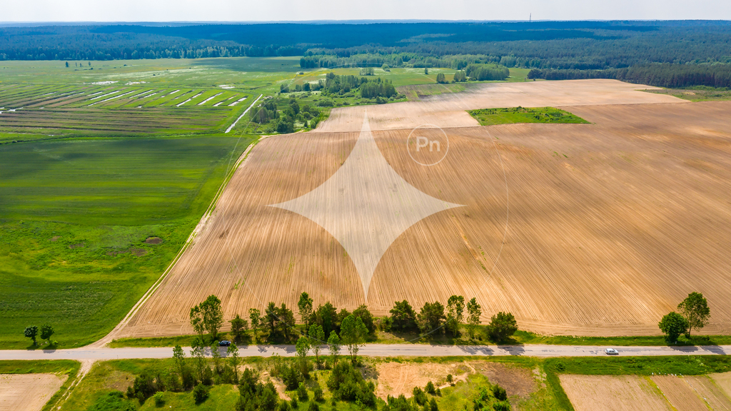 Działka rolna 2,61 ha, Waliły - zdjęcie 3