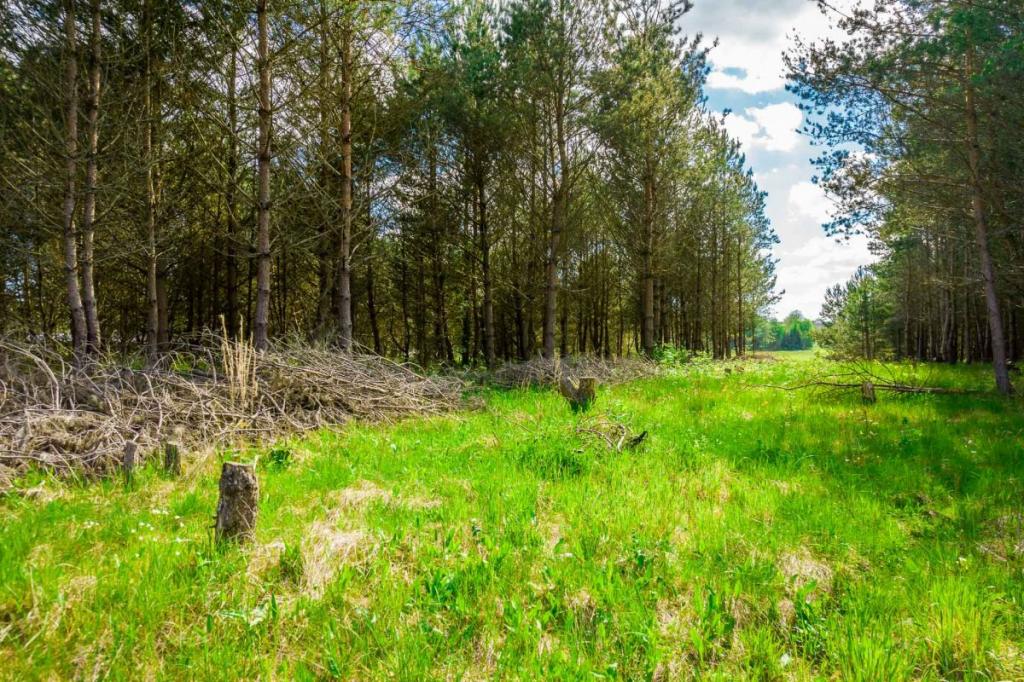 Atrakcyjnie położona działka pod zabudowę - zdjęcie 16