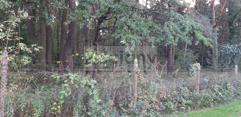 Działka budowlana 3500&nbsp;m², Magdalenka - zdjęcie 1