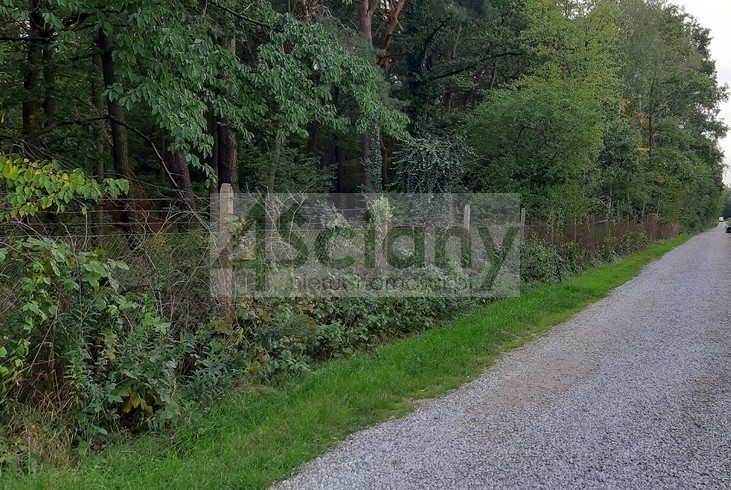 Działka budowlana 3500&nbsp;m², Magdalenka - zdjęcie 2