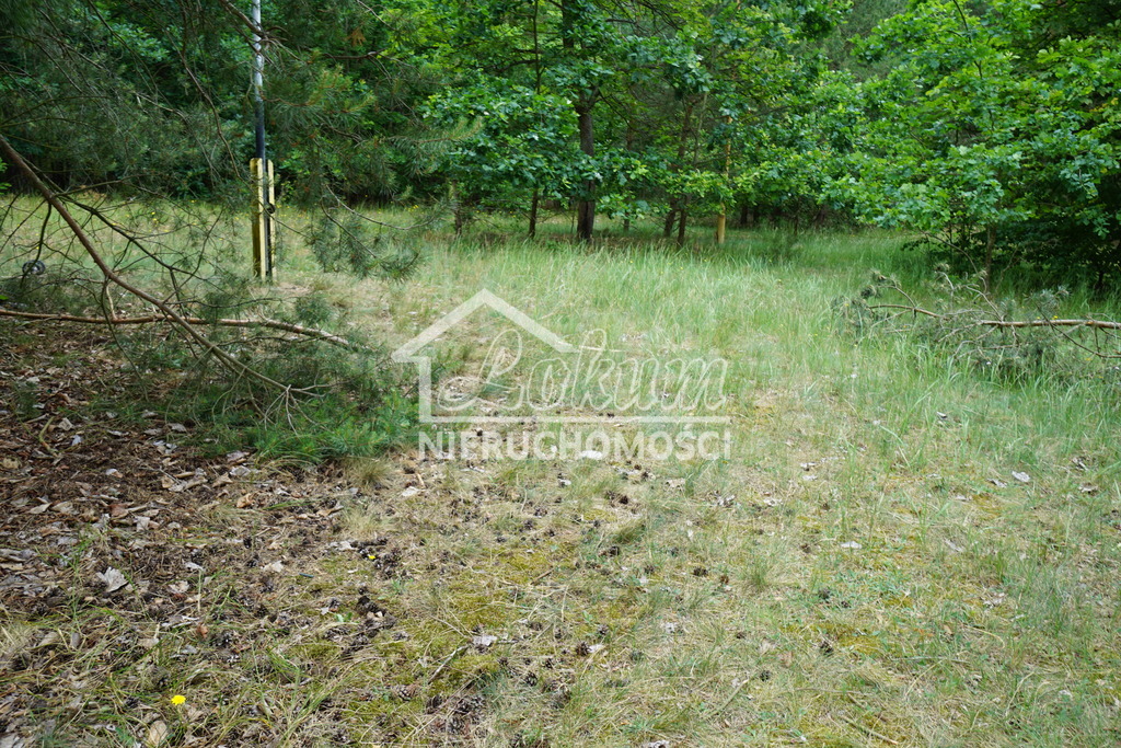 Działka rekreacyjna 2078&nbsp;m², Bartoszewo - zdjęcie 2